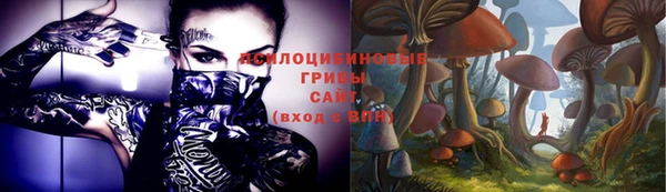 ПСИЛОЦИБИНОВЫЕ ГРИБЫ Новодвинск