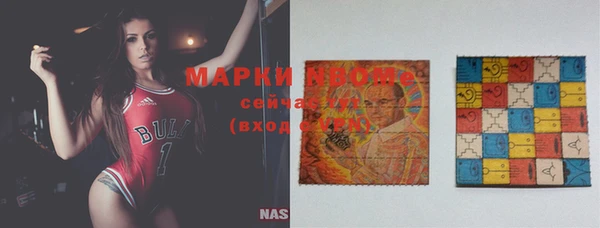 СК Новокубанск