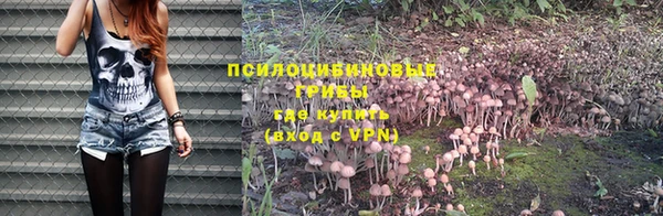 меф VHQ Новозыбков