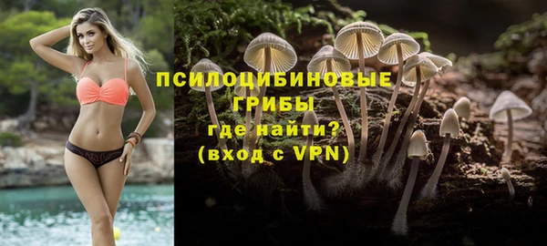 СК Новокубанск