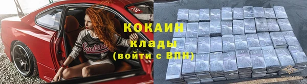 ПСИЛОЦИБИНОВЫЕ ГРИБЫ Новодвинск
