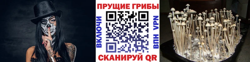Галлюциногенные грибы мухоморы  Кизел 